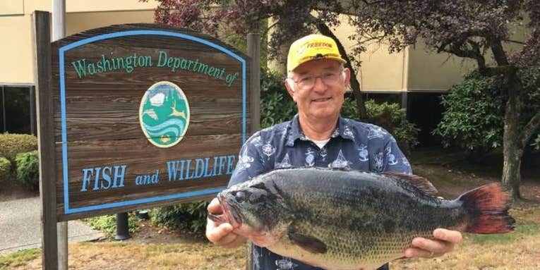 Washington Fisherman Shatters State Largemouth Bass Record