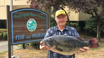Washington Fisherman Shatters State Largemouth Bass Record