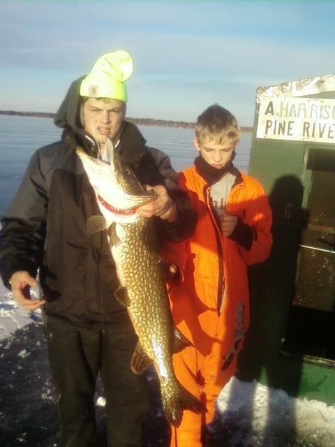 39 inch northern speared by my younger brother. So far he had missed three northerns within a week that were ten pounds or bigger apparently the fourth time is the charm.