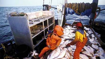 Freedom to Overfish