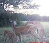 not much to say about this but im guessing its a buck