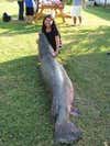 Stepanie Cornejo Does It Again Bowfishing This 7 Foot 3 inch Alligator Gar Weighing 215 Lbs At Falcon Lake In Texas. She Almost Broke The Record Currently Owned By Her Husband.
