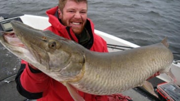 Minnesota Muskies Growing in Size, But Populations Are on the Decline