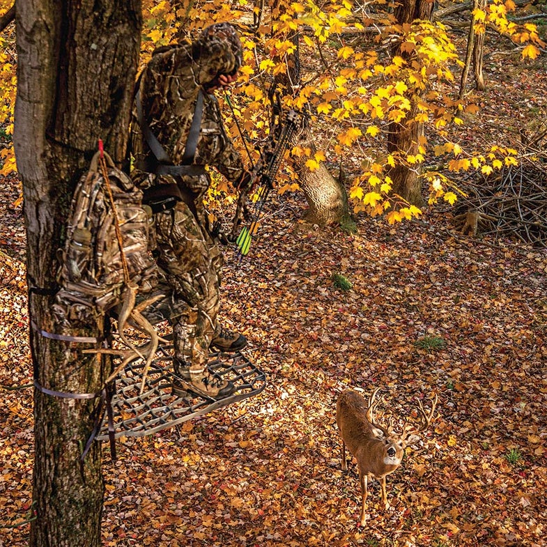 Bowhunter in tree stand