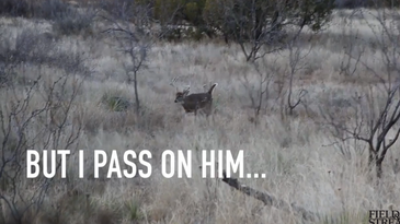 Video: Passing on a 145-Inch Buck, Hoping for a Giant Nontypical