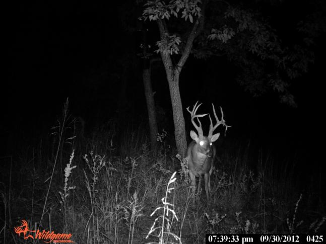 this guy is sly he only comes out at night. My hunting buddies and i nick named him Backscratcher because of his drop tine.