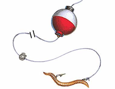 <strong>Are You Fishing From Shore?</strong><br />
When panfish crowd shallow shoreline cover, one of the simplest routes to a fish fry is to meet them there with an old standby: a worm and a bobber. <strong>The Rig:</strong> Thread a small garden worm onto a size 8 or 10 light-wire hook, letting just the very ends dangle. Attach a small fixed bobber to keep the bait 1-"2 feet beneath the surface. Add a split shot and cast it to the edges and pockets of weedbeds, and around timber. Early in the season, drag it into visible spawning beds.