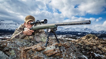 Five Questions You Must Ask Before Shooting an Animal at Long Range
