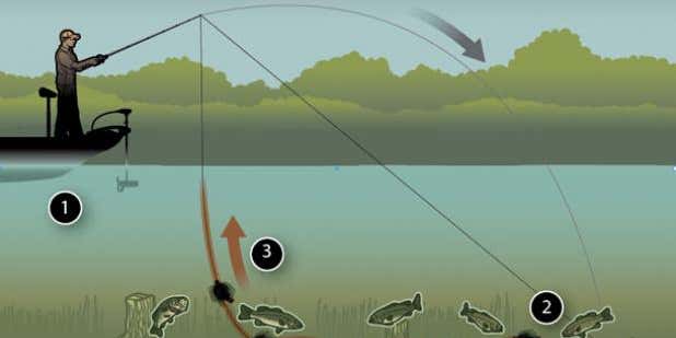 Bass Fishing Tip: Go Slow for Spring Largemouth