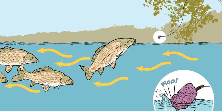Flyfishing for Carp with Mulberry Flies