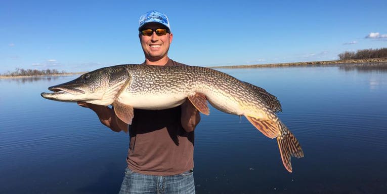 North Dakota Fly Angler Catches Record-Size Pike