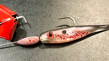 The Best New Lures for 2019