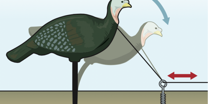Turkey Hunting Tactic: Make Your Decoy Move