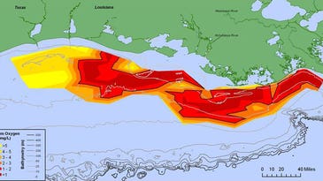 Gulf “Dead Zone” Grows by 1,422 Square Miles