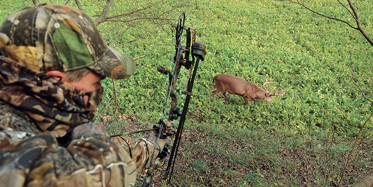 How to Overcome Your Bowhunting Performance Anxiety