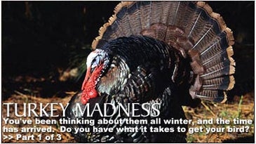 Turkey Madness