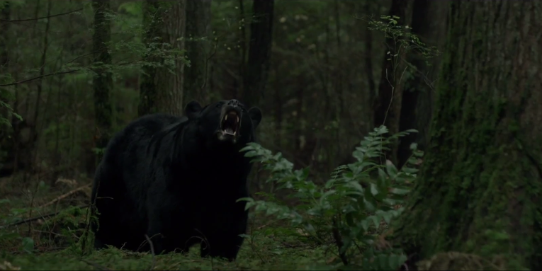 New “Backcountry” Movie Portrays Black Bear as Bloodthirsty Killer