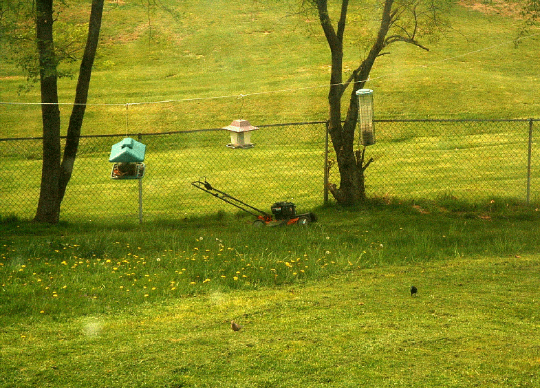 lawnmowing break, bird houses