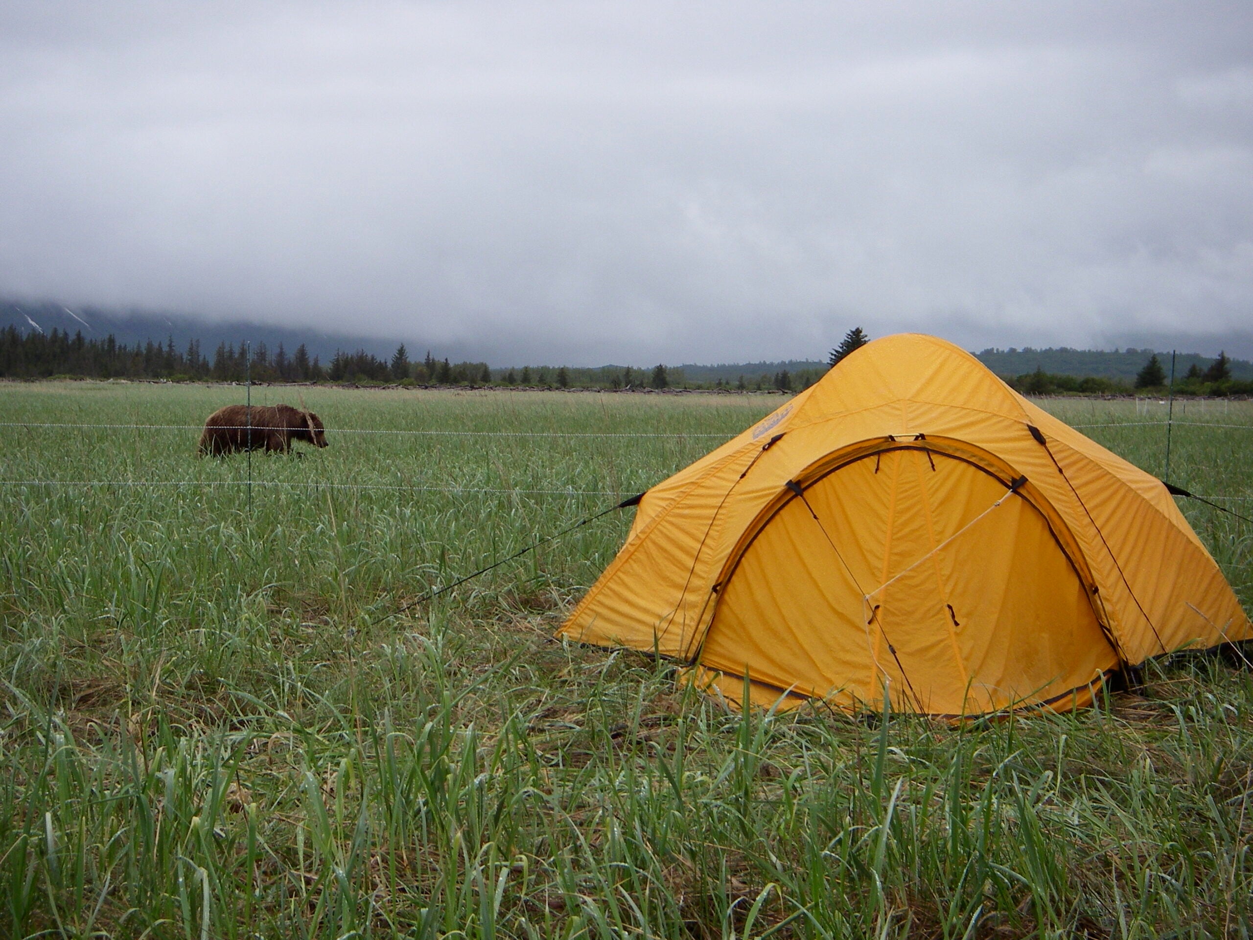 Camping With An Electric Bear Fence Field  Stream