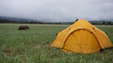 Camping With An Electric Bear Fence