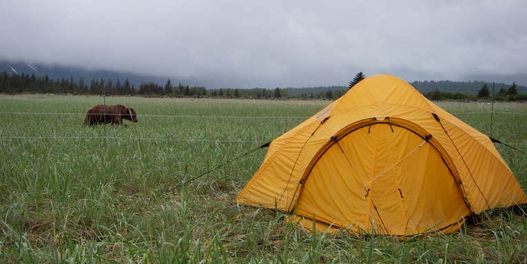 Camping With An Electric Bear Fence