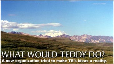 What Would Teddy Do?