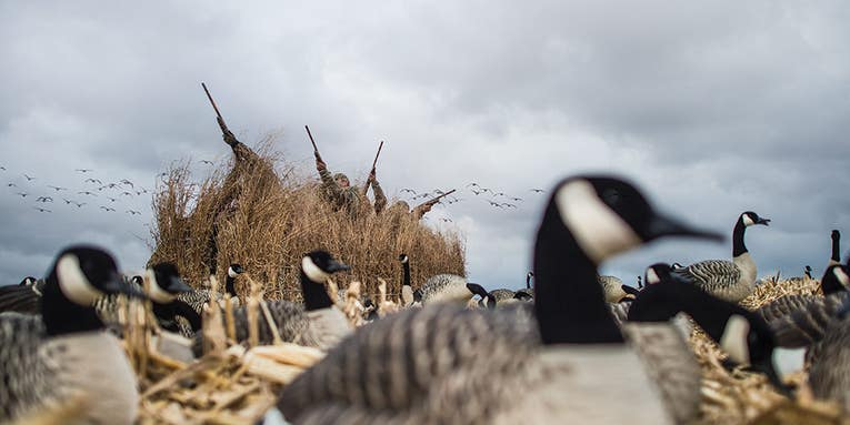 Stand and Deliver: How to Hunt Waterfowl from a Stand-up Blind