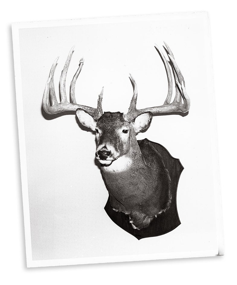 <strong>Location:</strong> Missouri<br />
<strong>Antlers:</strong> Typical<br />
<strong>B&C Score:</strong> 205 One shot at 28 feet from Larry Gibson's .308 brought down this 205 Boone and Crockett  typical Missouri whitetail in November, 1971. At first it was scored at 201 5/8, but later over three more points were added. That made the buck Number 2 in the world at the time, and only one tine on the right antler, that had broken and healed, probably while the buck was still in velvet, may have kept it from being the world's record.