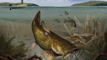 Smoke a Flattie: Tactics for Big Flathead Catfish