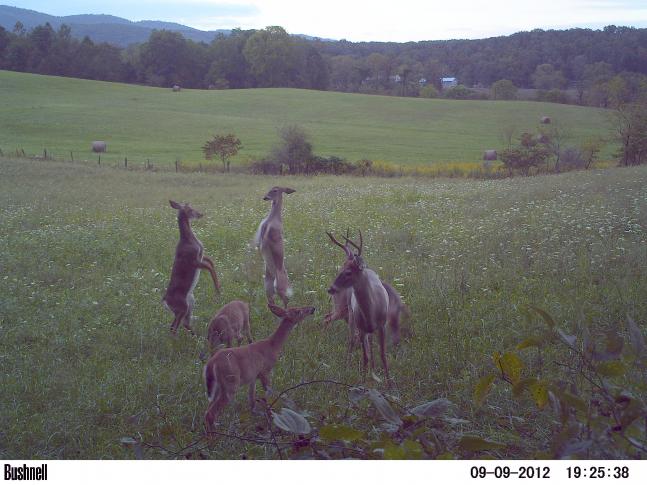 This was a big surprise to find a picture like this on my trail cam.