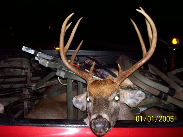 I was hunting this fall in Granville county NC and saw this buck. It was right before dark and i was getting ready to get out of my stand. He came out into a field and i shot with my marlin 336 chambered in 35 rem. with open sights. My aim was true and the pic tells the rest.