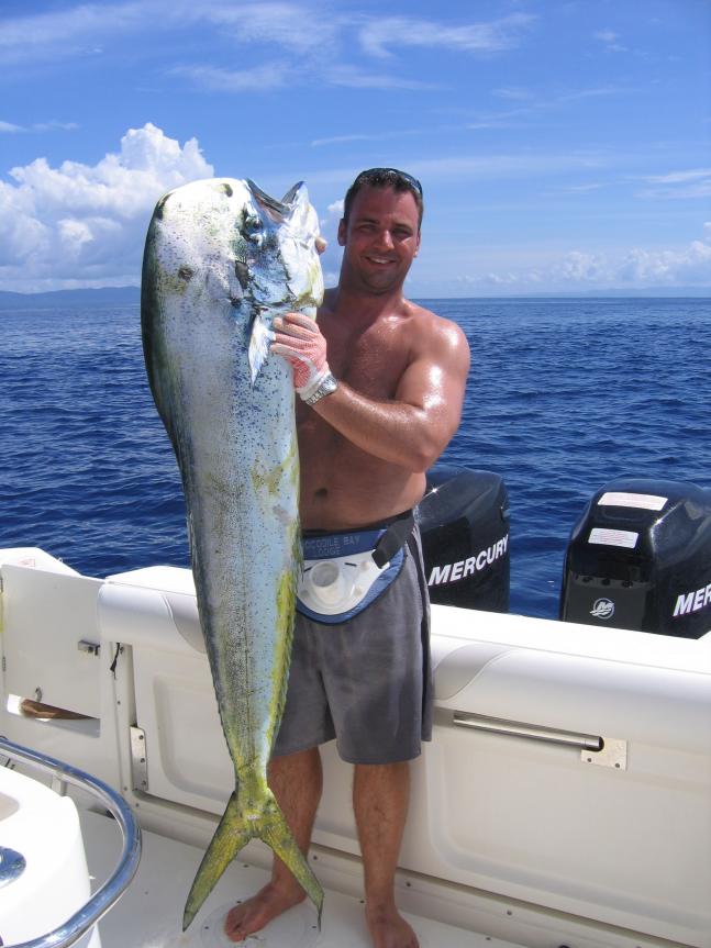 This bad boy hit our spread about ten minutes after I just "quick released a marlin. I was already whipped, but it was pulling real good. Turned out to be about 64 lbs. Wish I could have gotten a shot quicker with all it's colors.