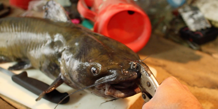 Catfish Week: How to Make DIY Catfish Skinning Pliers