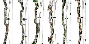 Gear Review: New bows for 2006