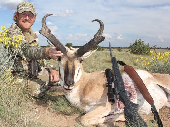 Chase pronghorns this Fall.