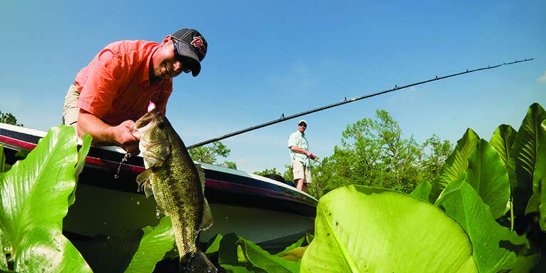 Fish Frogs Over a Lilly Pad Bed for Big Summer Bass