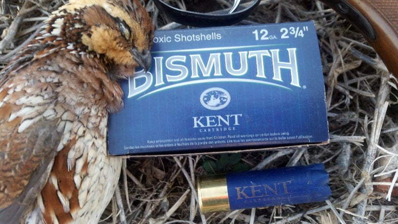 Kent bismuth