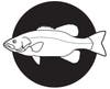 Smallmouth bass illustration live bait fishing