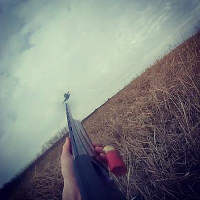 Took this image with my GoPro HERO3 while it was attached to my hat during a pheasant hunt.