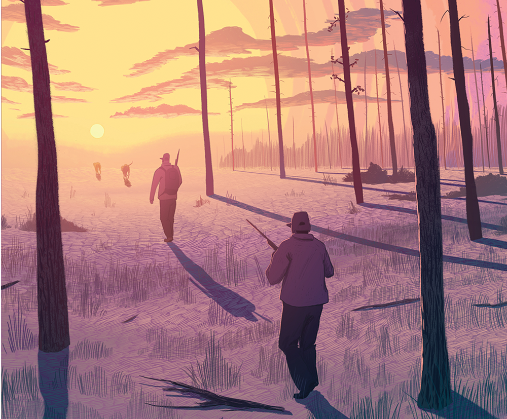 Illustration of two quail hunters following dogs into the sunset.
