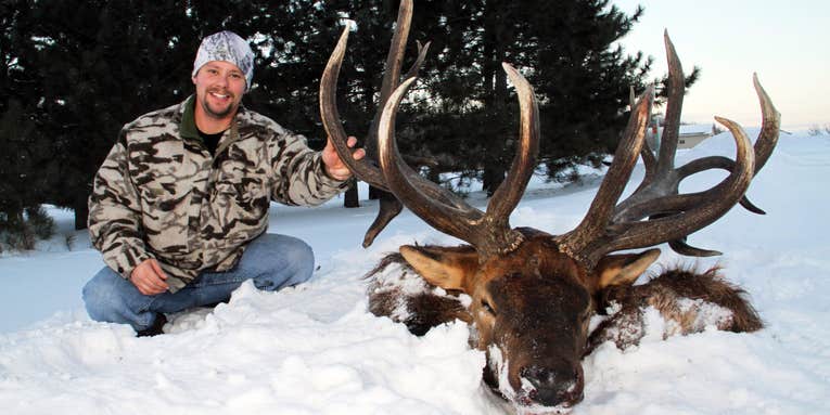 Record Elk Found Pinned Alive With Antlers Stuck in Mud