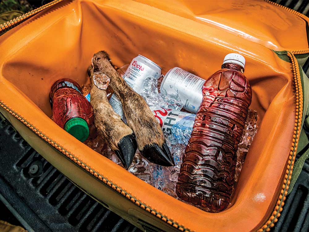 cooler with deer blood, beer, and leg