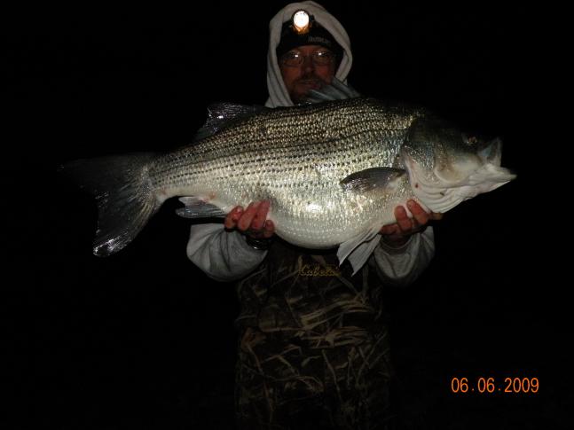 Caught june 6th 2009 at 1:30 am. Weighed 25 pounds 9.45 ounces. 33 1/3 inches with a 28 inch girth. Caught from shore wading using 12 pound test line on a 5 inch Rapala husky jerk. Only wish we could have got to certified scale sooner, weighed 5 hours after catch.