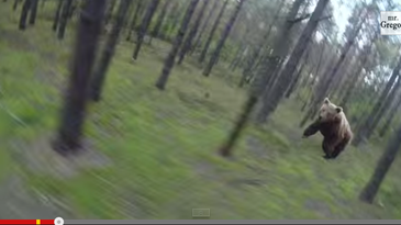 Spot the Fake: Two Videos of Bears Chasing Cyclists