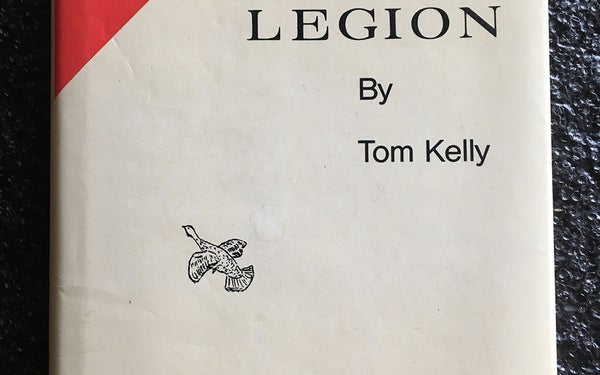 tenth legion book cover by tom kelly