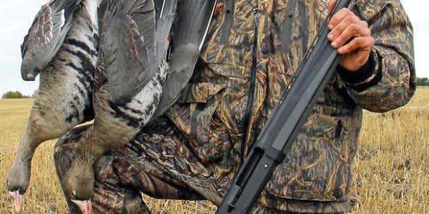The 5 Best Low Recoil Shotguns Ever Made