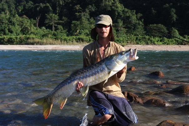 We caught this 25 lb. Golden Mahaseer on a commercial fishing trip to the Subansiri River in India. This one was either on the Subansiri or the Siang river after we pulled over into an eddy to go to take a quick break. Pontus cast a spoon and within a minute we heard "FISH ON!"... over the next 2 days we caught a bunch of Golden Mahaseer.