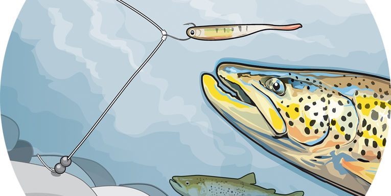 Soft Plastics for Trout: 5 Tactics to Land More Fish