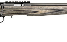 Ruger American Rimfire Target rifle
