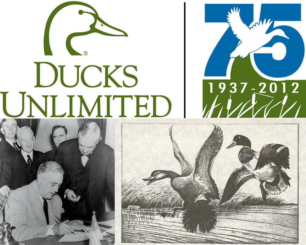 Large 9” Ducks Unlimited Jacket Patch Mallard Duck Vintage 